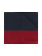 Gucci Kids Web Scarf, Boy's, Blue