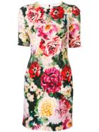 Dolce & Gabbana Floral Print Dress - Pink