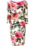 Blugirl Roses Print Fitted Dress - Multicolour