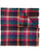 Etro Checked Scarf - Pink