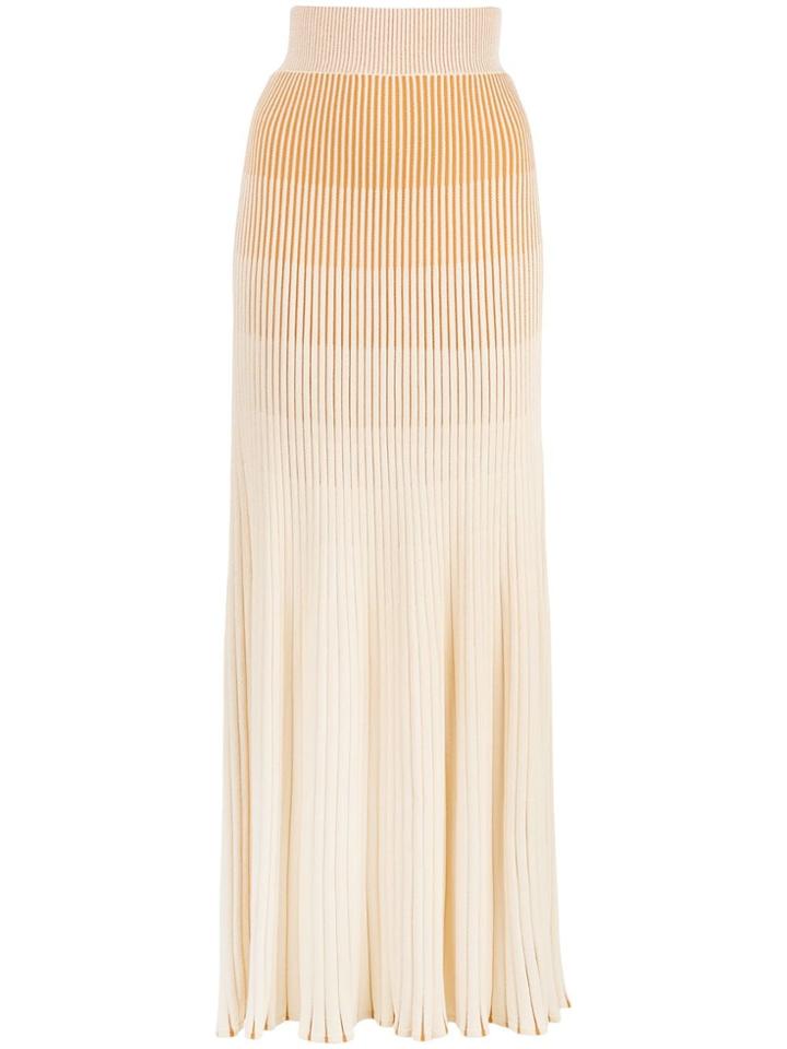 Nicholas Striped Pattern Skirt - Neutrals