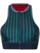 Duskii Iao Valley Bikini Top - Blue