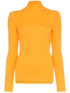 Sjyp High Neck Long Sleeve Fitted Rollneck - Yellow & Orange
