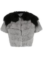 Andrea Bogosian Fur Blouse - Grey