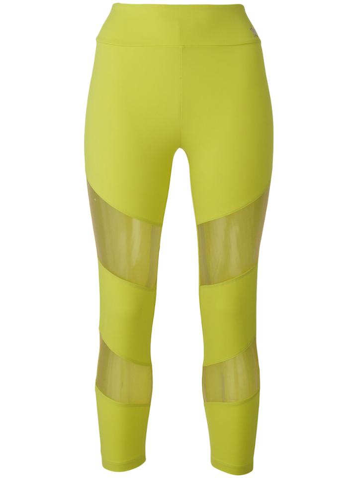 Elisabetta Franchi Mesh Panel Leggings - Green