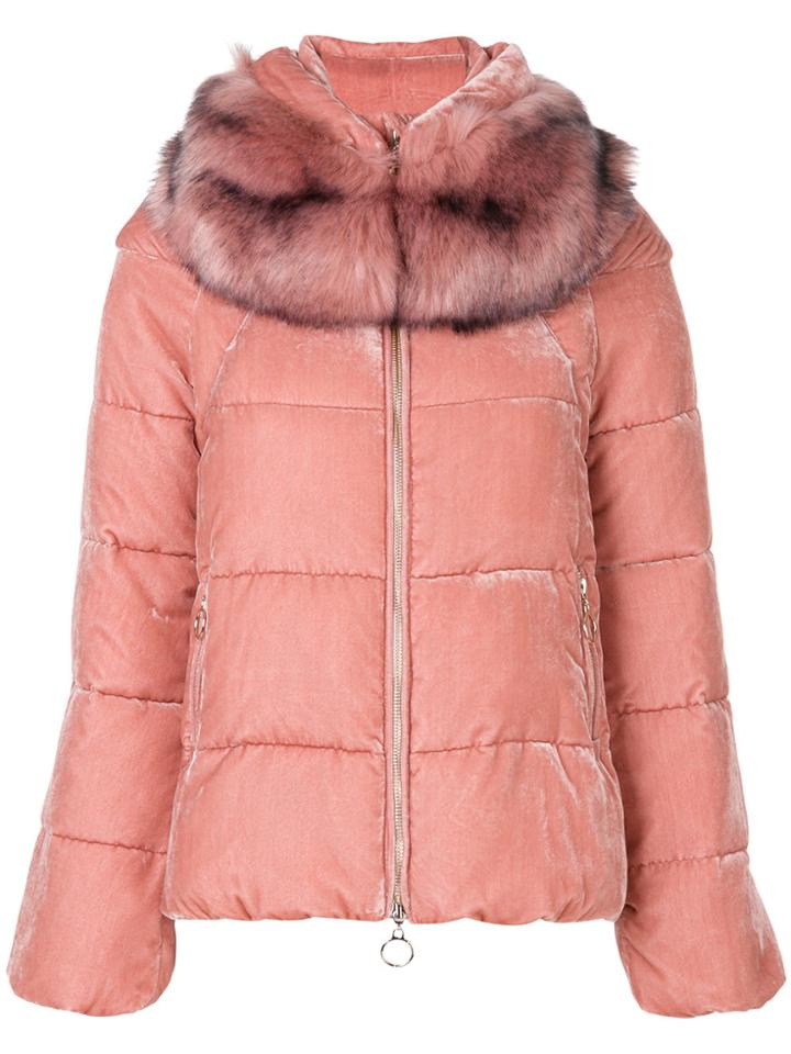 Twin-set Padded Hooded Jacket - Pink & Purple