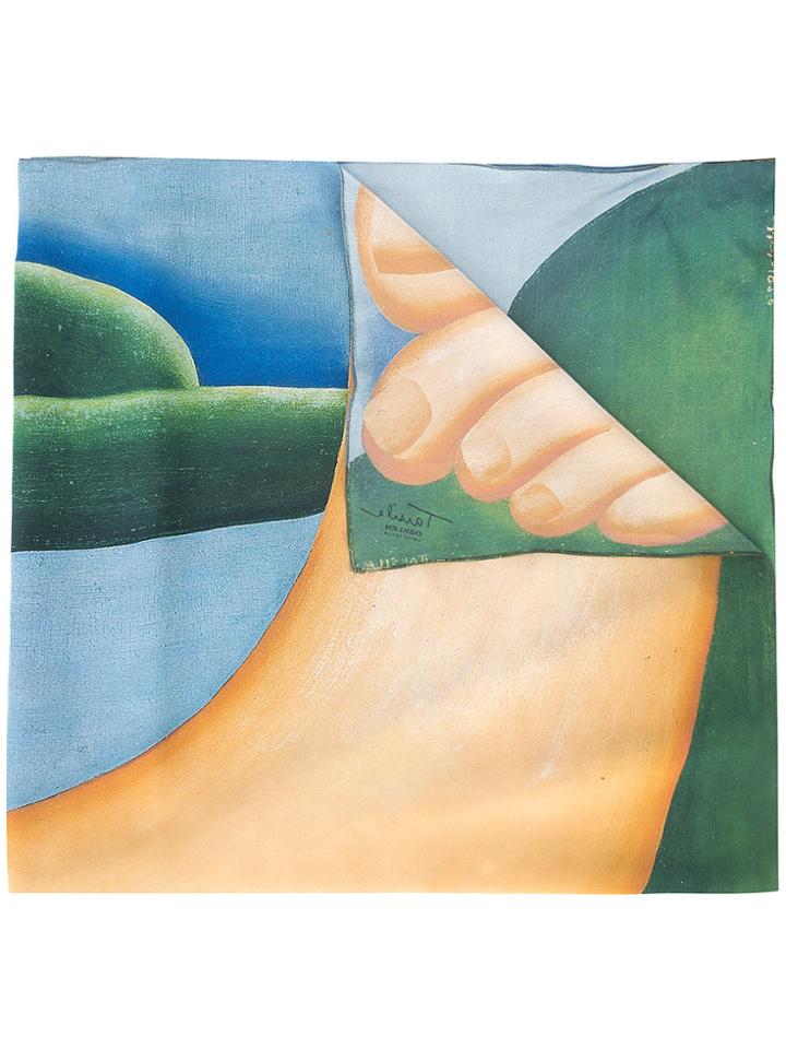 Osklen Osklen X Tarsila Printed Scarf - Blue