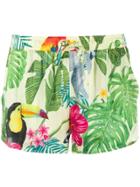Mc2 Saint Barth Ronnie Paradise Print Shorts - Yellow