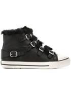 Ash Faux Fur Sneakers - Black