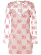 Manning Cartell Embroidered Sheer Mini Dress - Pink