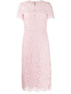 Valentino Floral Lace Fitted Dress - Pink