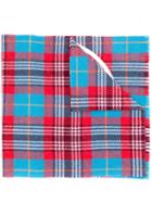 Moncler Checked Scarf - Blue