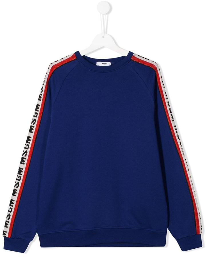 Msgm Kids Teen Logo Stripe Sweatshirt - Blue