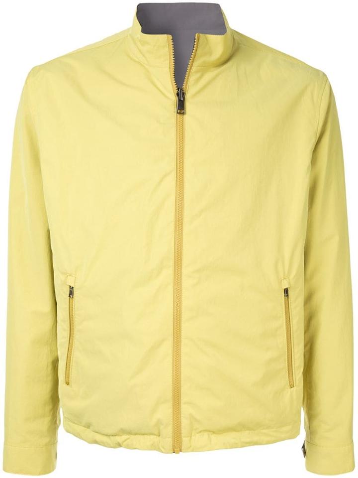 D'urban - Yellow