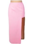 Natasha Zinko Asymmetric Fitted Skirt - Pink