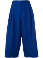 Études Alto Cropped Trousers - Blue