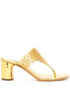 Casadei T-bar Slip-on Sandals - Gold