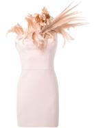 Isabel Sanchis Feather Neckline Dress - Pink
