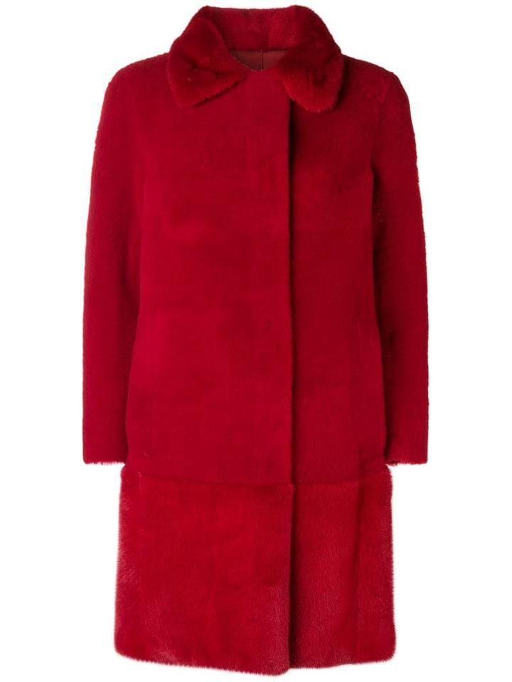 Blancha - Red