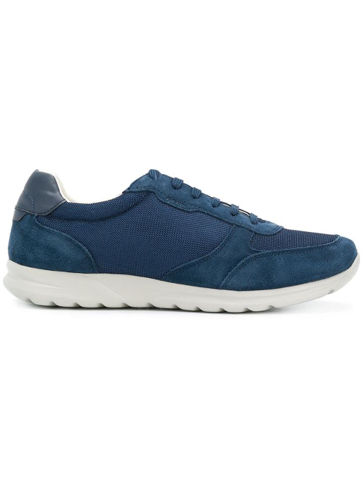 Geox Damian Sneakers - Blue