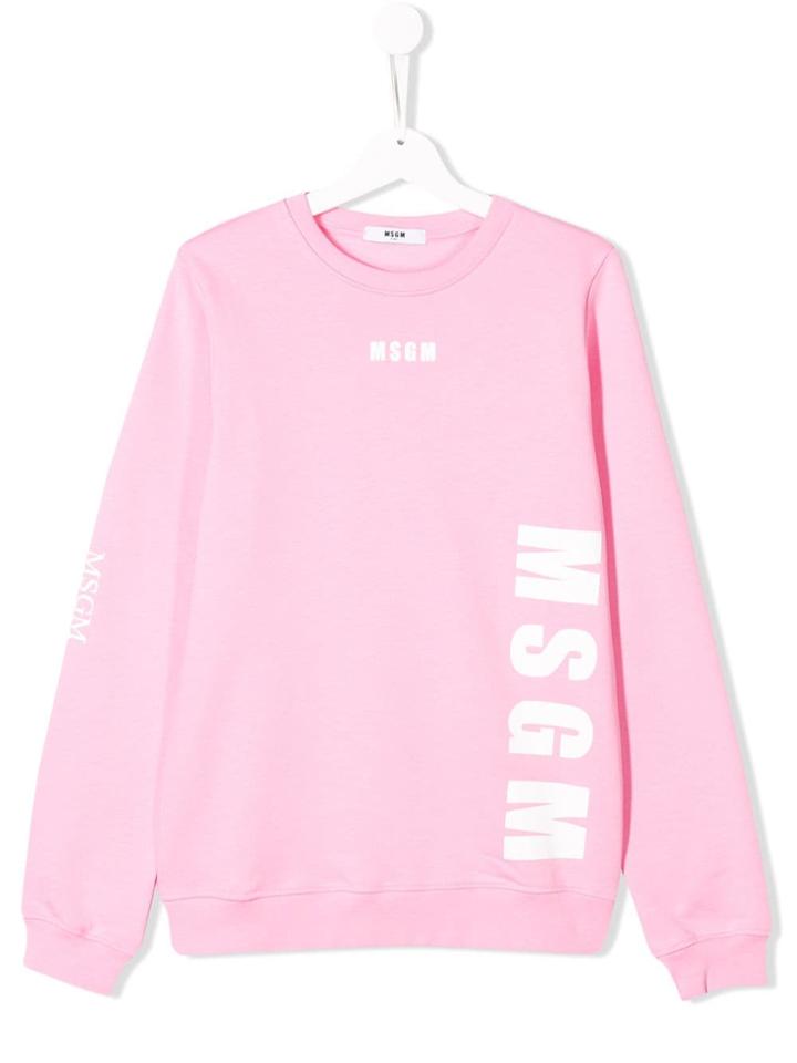 Msgm Kids Teen Logo Printed Sweater - Pink