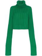 Matthew Adams Dolan Oversized Roll-neck Sweater - Green