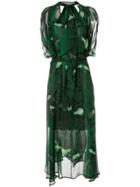 Petar Petrov Delway Sheer Snake Print Dress - Green