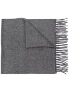 Lanvin Classic Cashmere Fringed Scarf - Grey