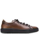 Tod's Classic Low Top Trainers - Brown