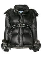 Prada Fox Fur Cuffed Padded Jacket - Black