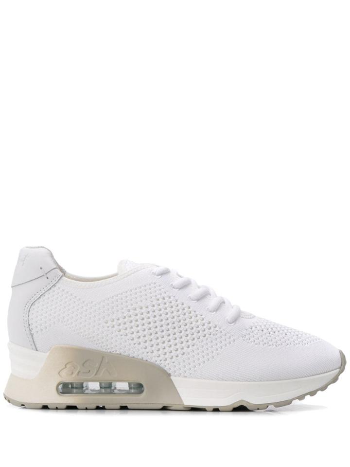 Ash Lucky Knit Sneakers - White