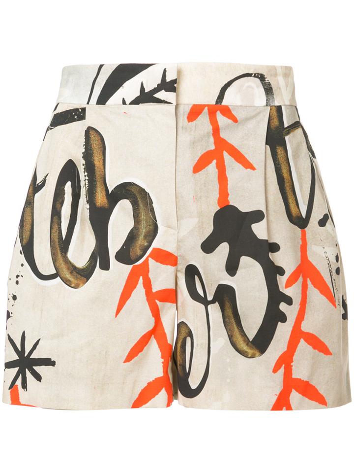 Alberta Ferretti Printed Shorts - Brown