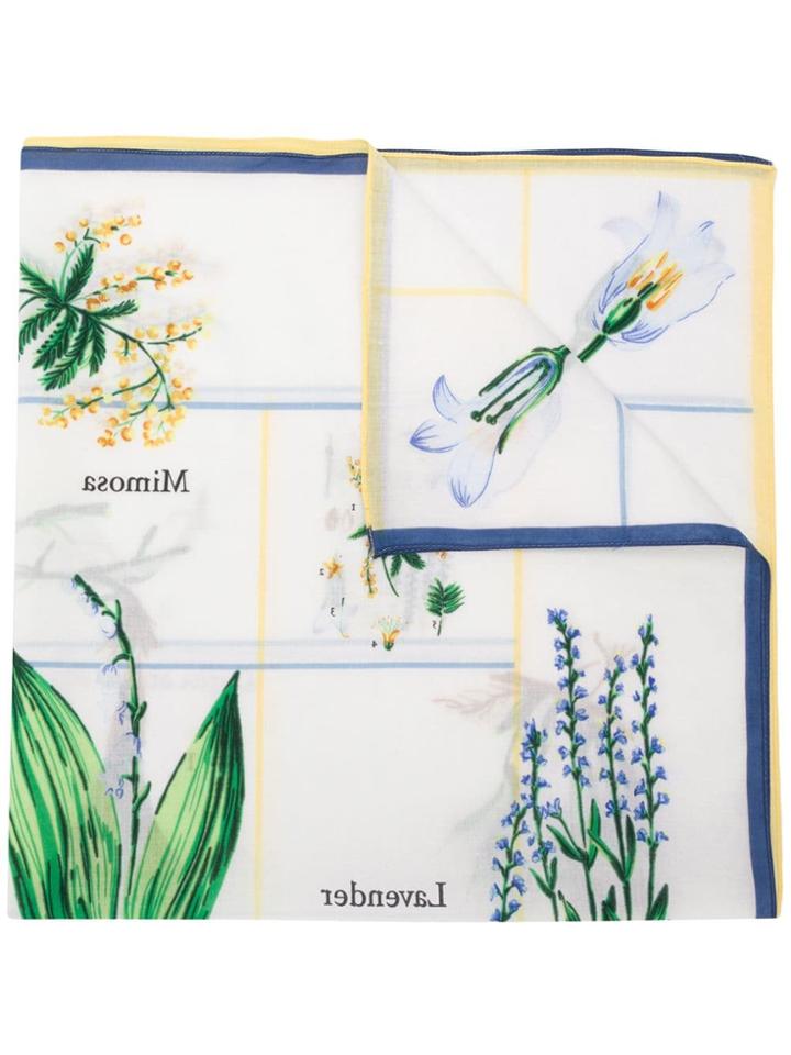 Sonia Rykiel Botany Scarf - White