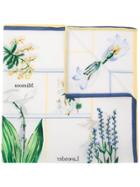 Sonia Rykiel Botany Scarf - White