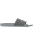 Apl Big Logo Techloom Slides - Grey