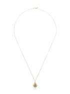 Loren Stewart 14k Yellow Gold Birth Of Venus Shell Necklace