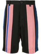 Ports V Striped Bermuda Shorts - Multicolour