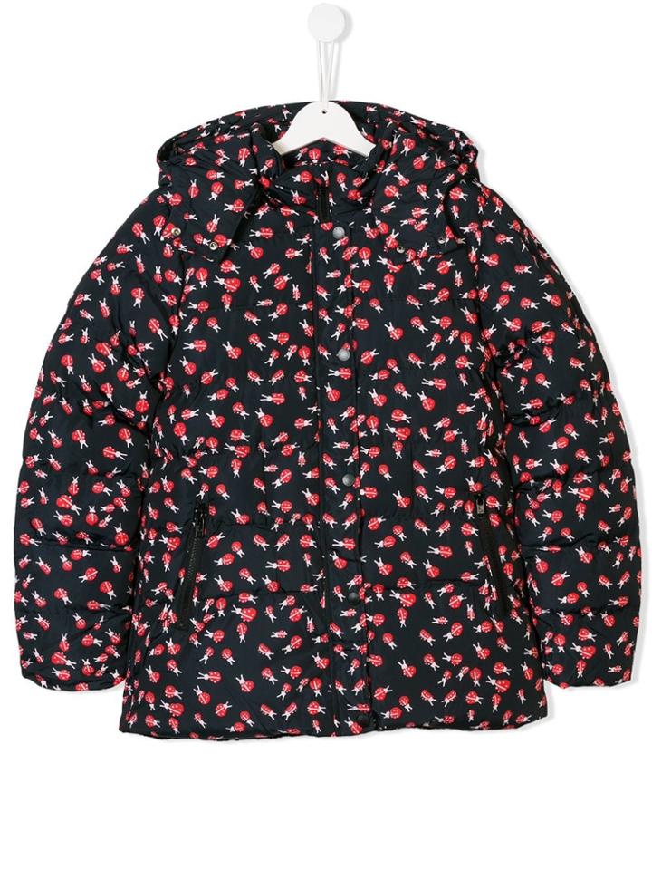 Stella Mccartney Kids Ladybird Print Padded Coat - Black