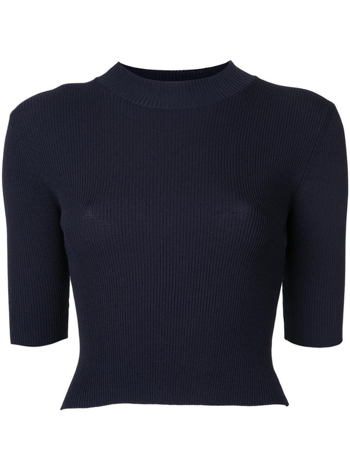 Dion Lee Pinacle Rib Cropped T-shirt - Blue