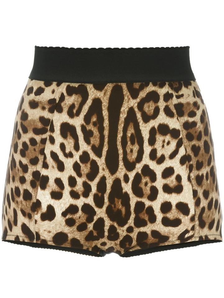 Dolce & Gabbana Leopard Print French Knickers, Women's, Size: 40, Brown, Silk/polyamide/spandex/elastane