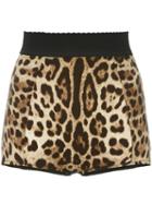 Dolce & Gabbana Leopard Print French Knickers, Women's, Size: 40, Brown, Silk/polyamide/spandex/elastane