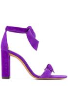 Alexandre Birman Wrap Tie Ankle Sandals - Purple