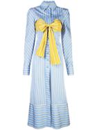 Silvia Tcherassi Silene Bustier Shirt Dress - Blue
