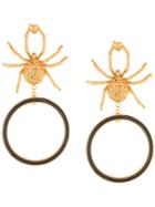 Lako Bukia X Natia Khutsishvili Gold Plate Spider Earrings - Metallic