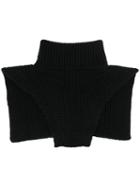 Alexandra Golovanoff Overhead Turtleneck Scarf - Black