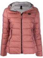 Blauer Bldc02023005486570 - Pink