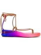 Chloé Gradient-effect Sandals - Pink