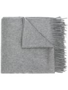 Fabiana Filippi Fringed Hem Scarf - Grey
