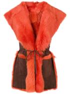 Alberta Ferretti Sleeveless Oversized Collar Jacket - Yellow & Orange