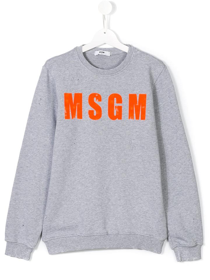 Msgm Kids Logo Print Sweatshirt, Boy's, Size: 14 Yrs, Grey